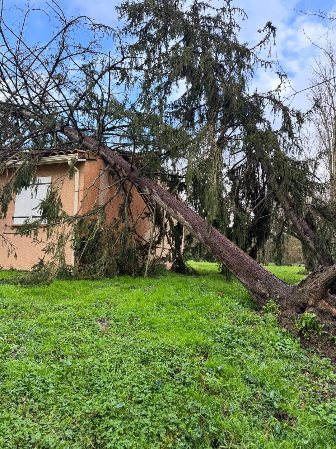 Arbre tombé sur une maison après la tempête Nils - intervention urgence Arbovert