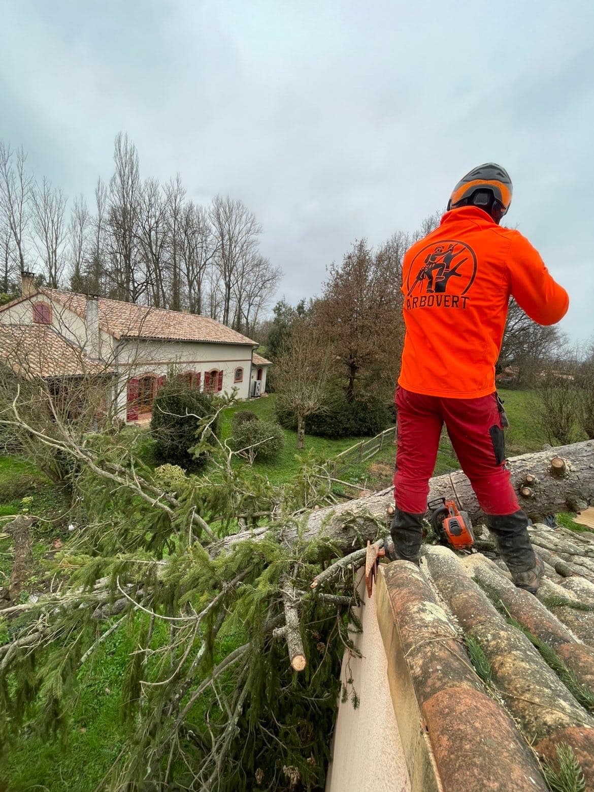 Élagueur Arbovert sur une toiture en train de dégager un arbre tombé après la tempête Nils
