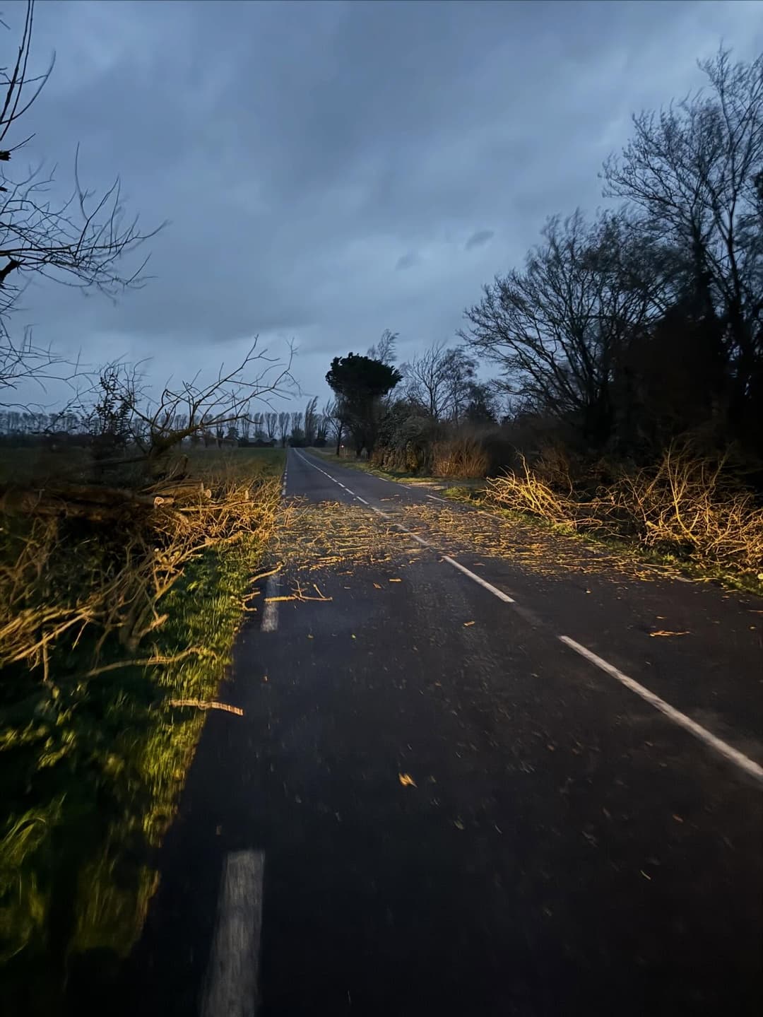 Route dégagée par Arbovert après intervention d'urgence tempête Nils
