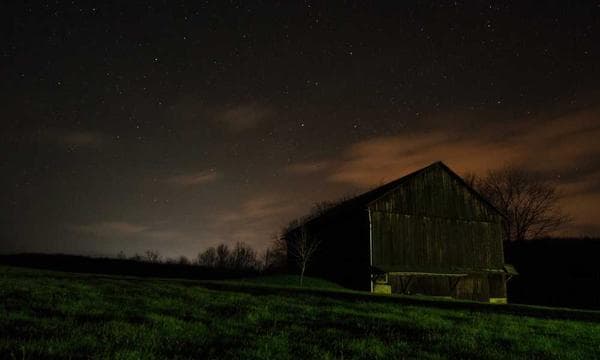 Abattage & démontage