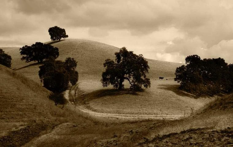 Démontage en rétention