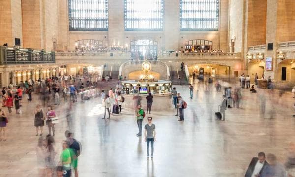 Tonte & entretien de jardins